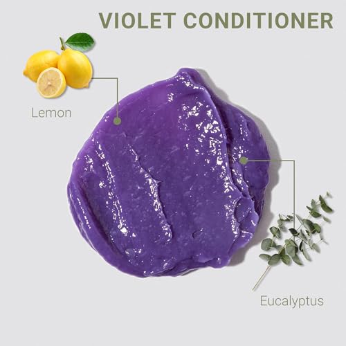Loma Hair Care Violet Shampoo Violet Conditioner Duo, 12 Fl Oz , 2 Count (Pack of 1)