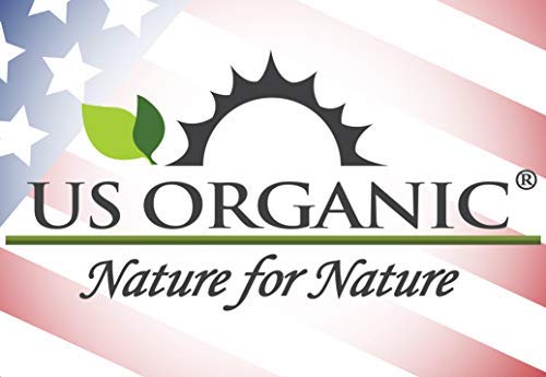 US Organic 100% Pure Clove Bud Essential Oil - USDA Certified Organic, Steam Distilled (10 ml)