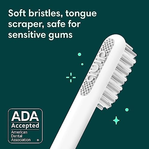 Quip Rechargeable Sonic Toothbrush for Adults - Timed Electric Toothbrush with Cover - Replaceable Brush Head, Soft Bristles, Plastic Handle - Travel Toothbrush - Midnight