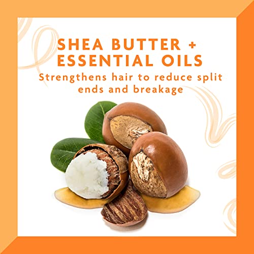 Cantu Daily Oil Moisturizer with Shea Butter, 13 fl oz (Pack of 3)