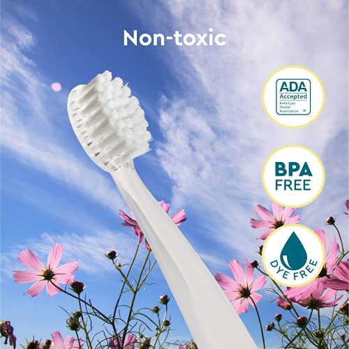 RADIUS Children's Toothbrush, Pure Brush, Ultra Soft Bristles, Clear, BPA Free & ADA Accepted, Designed for Delicate Teeth & Gums for Children 6 Months & Up, Pack of 3