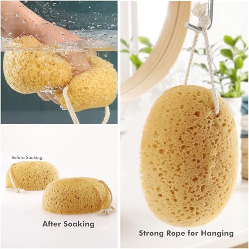 Sponges Shower, 3Pcs Soft Bath Sponges for Women Men, Wash Sponges for Body Face Multipack, Dense Foam for Gentle & Deep Cleansing, Ultra-Soft for Sensitive Dry Skin (Assorted Color Loops)