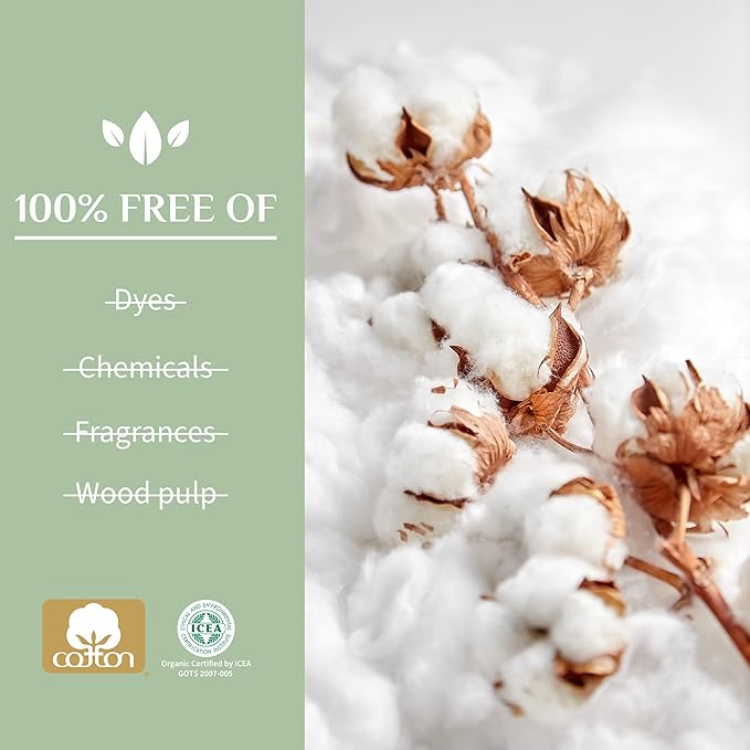 Organyc 100% Certified Organic Cotton Inside and Out Folded Panty Liner - Everyday Sanitary Pad, Free from Wood Pulp, Perfumes, SAP and Chemicals, Light Flow (144 Count)