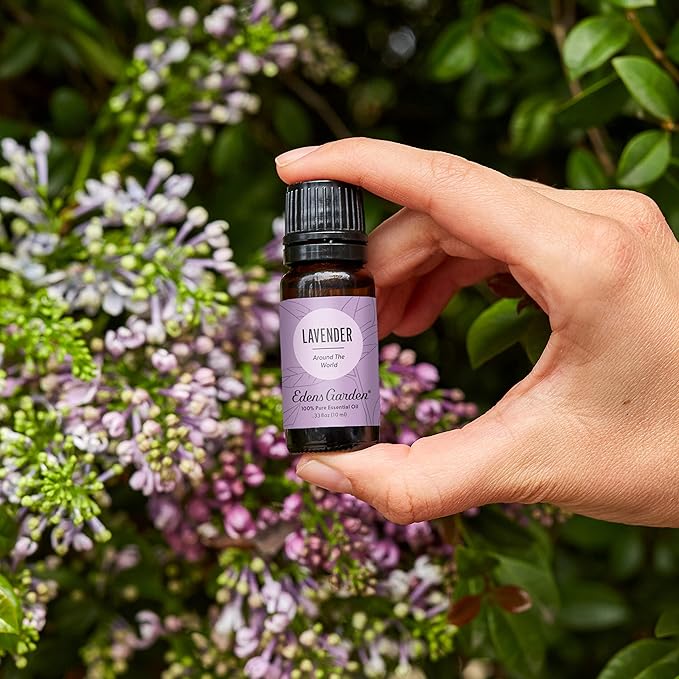 Edens Garden Lavender Around The World Essential Oil- 100% Pure Premium Grade, Undiluted, Natural, Therapeutic, Aromatherapy, The Best for Diffuser, Skin, Face, Candle 118 ml (4 fl oz)