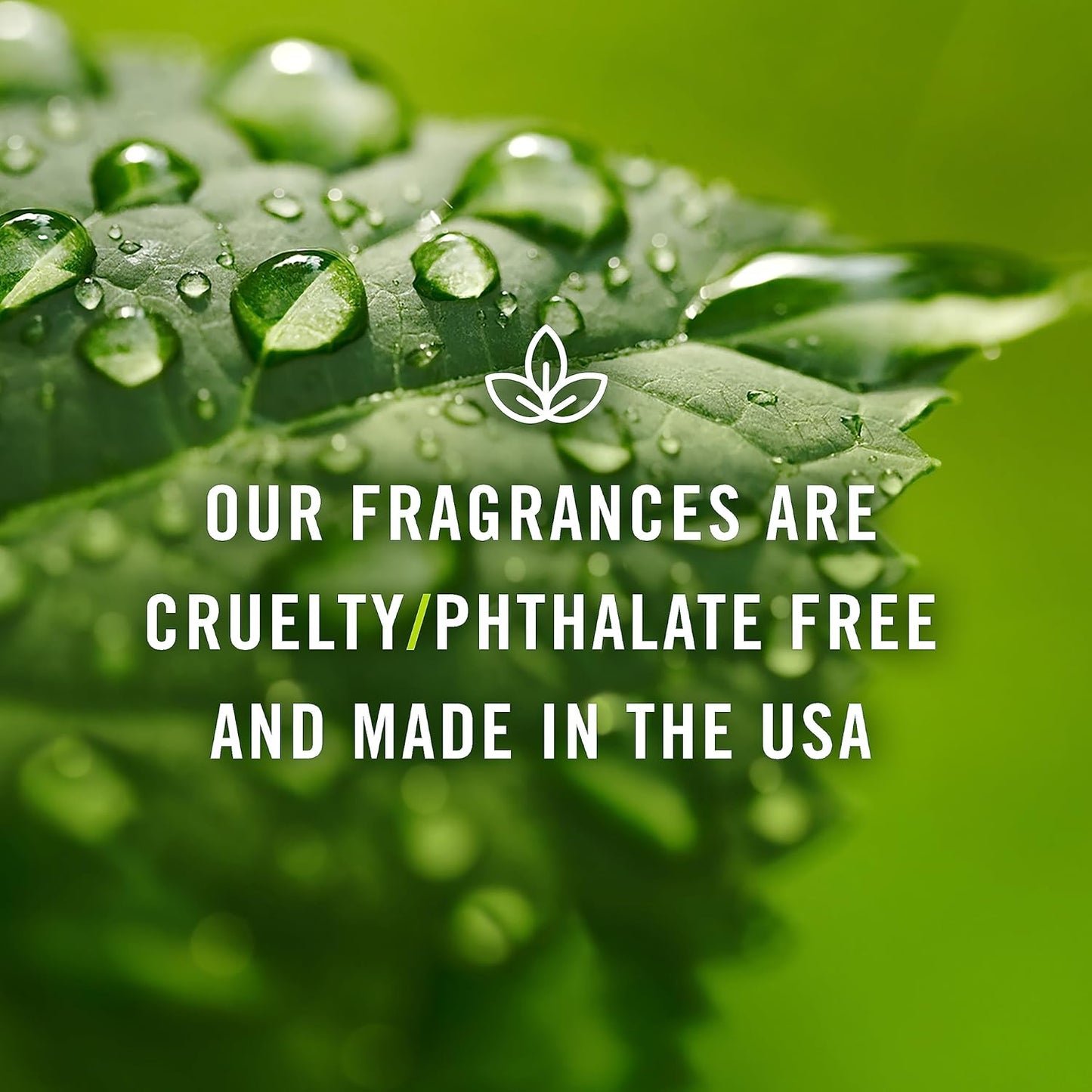 P&J Trading Fragrance Oil | Bay Rum Oil 100ml - Candle Scents for Candle Making, Freshie Scents, Soap Making Supplies, Diffuser Oil Scents